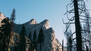 Превью обои деревья, скала, гора, природа