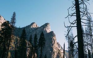 Превью обои деревья, скала, гора, природа
