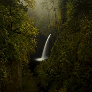 Превью обои деревья, скалы, водопад, лес