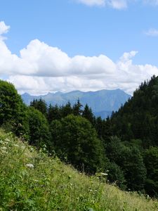 Превью обои деревья, склон, трава, пейзаж, облака