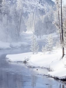 Превью обои деревья, снег, берег, река, зима