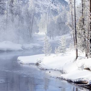 Превью обои деревья, снег, берег, река, зима