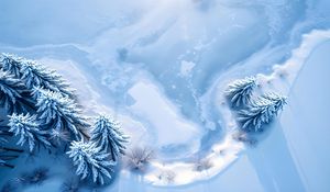 Превью обои деревья, снег, елки, зима, вид сверху