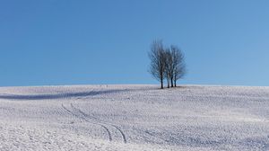 Превью обои деревья, снег, горизонт, минимализм, зима, небо