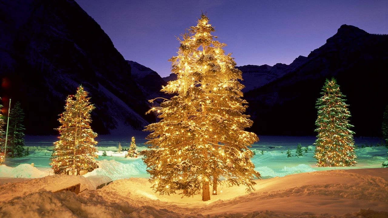 Обои деревья, снег, рождество, новый год, гирлянды