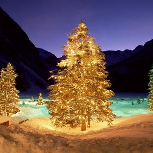 Превью обои деревья, снег, рождество, новый год, гирлянды