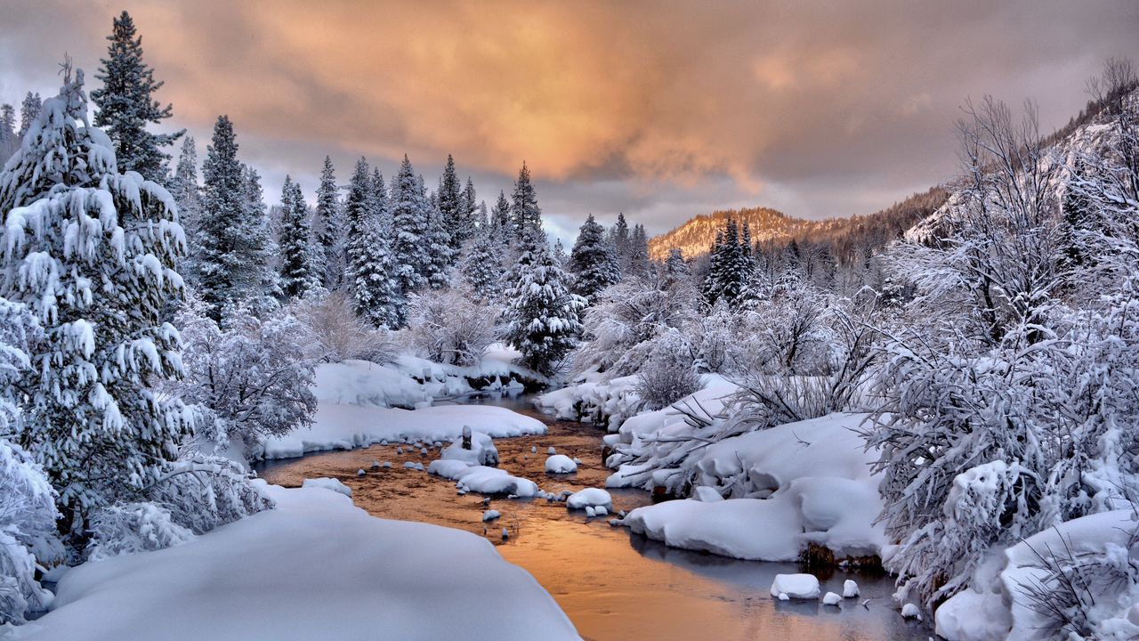 фото зима природа красивые скачать
