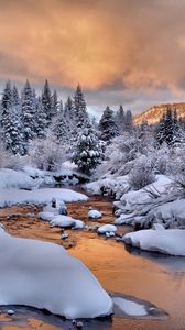 Превью обои деревья, снег, ручей, зима, природа