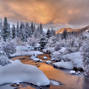 Превью обои деревья, снег, ручей, зима, природа