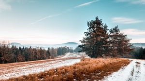 Превью обои деревья, снег, трава, дорога, небо, пейзаж