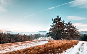 Превью обои деревья, снег, трава, дорога, небо, пейзаж