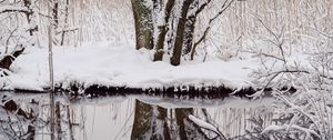 Превью обои деревья, снег, ветки, отражение, река, зима