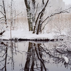 Превью обои деревья, снег, ветки, отражение, река, зима