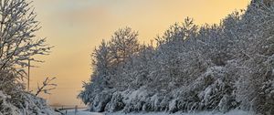 Превью обои деревья, снег, зима, природа, пейзаж, белый