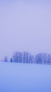 Превью обои деревья, снег, зима, минимализм, горизонт