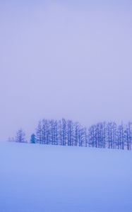 Превью обои деревья, снег, зима, минимализм, горизонт
