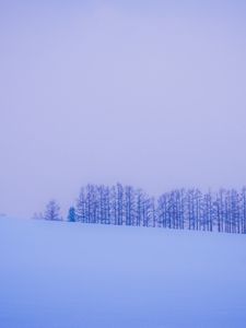 Превью обои деревья, снег, зима, минимализм, горизонт