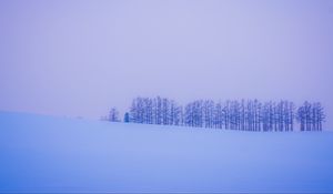 Превью обои деревья, снег, зима, минимализм, горизонт