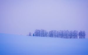 Превью обои деревья, снег, зима, минимализм, горизонт