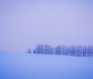 Превью обои деревья, снег, зима, минимализм, горизонт