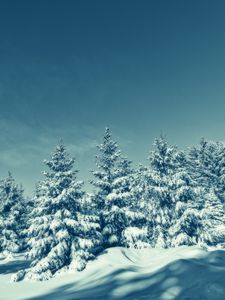 Превью обои деревья, снег, зима, заснеженный, небо