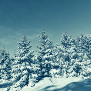 Превью обои деревья, снег, зима, заснеженный, небо