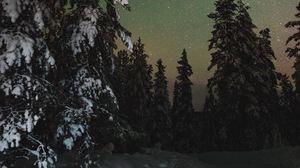 Превью обои деревья, снег, зима, звездное небо, звезды, ночь