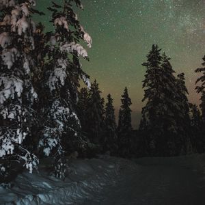 Превью обои деревья, снег, зима, звездное небо, звезды, ночь