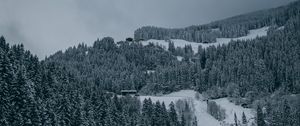 Превью обои деревья, снег, зима, заснеженный, вид сверху, лес