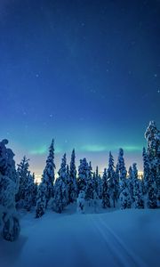 Превью обои деревья, снег, зима, ночь, пейзаж
