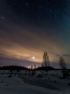 Превью обои деревья, снег, зима, сумерки, природа