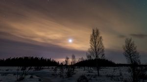 Превью обои деревья, снег, зима, сумерки, природа
