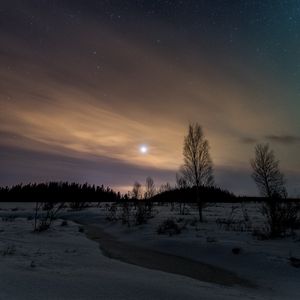 Превью обои деревья, снег, зима, сумерки, природа