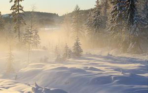 Превью обои деревья, снег, зима, лес, природа, туман