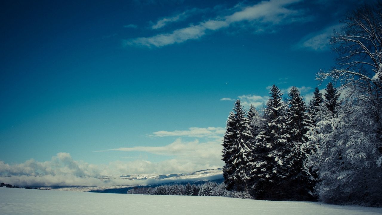 Обои деревья, снег, зима, поляна, высота, горы, мрачные