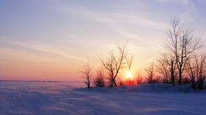Превью обои деревья, снег, зима, рассвет, природа