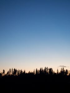 Превью обои деревья, сумерки, очертания, темный, горизонт