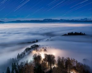 Превью обои деревья, свечение, туман, природа