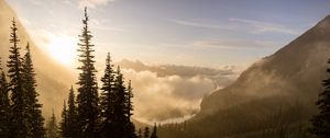 Превью обои деревья, свет, лучи, камни, природа, пейзаж