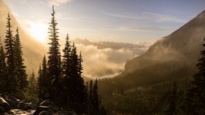 Превью обои деревья, свет, лучи, камни, природа, пейзаж