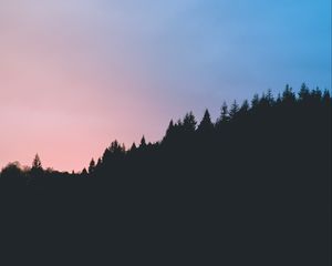 Превью обои деревья, темный, очертания, небо, сумерки
