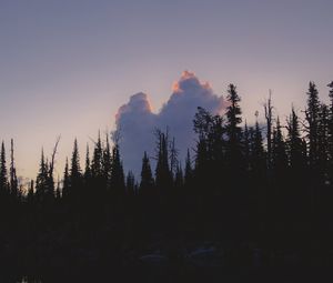 Превью обои деревья, темный, сумерки, вода, отражение