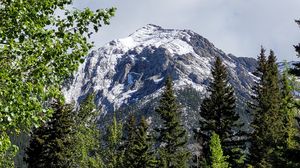 Превью обои деревья, трава, гора, снег