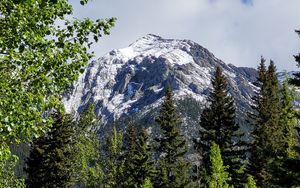 Превью обои деревья, трава, гора, снег