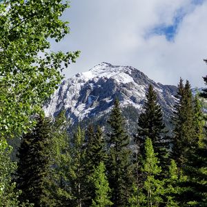 Превью обои деревья, трава, гора, снег