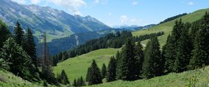 Превью обои деревья, трава, горы, пейзаж