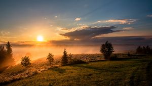 Превью обои деревья, трава, холмы, туман, рассвет