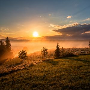 Превью обои деревья, трава, холмы, туман, рассвет