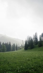 Превью обои деревья, трава, луг, холмы, природа