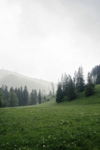 Превью обои деревья, трава, луг, холмы, природа